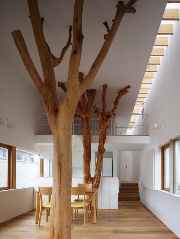 stromový dům